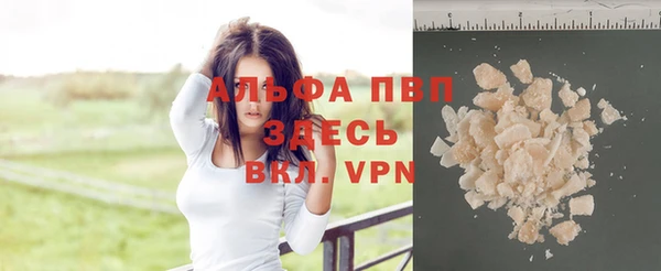 стаф Володарск