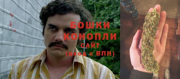 spice Волосово
