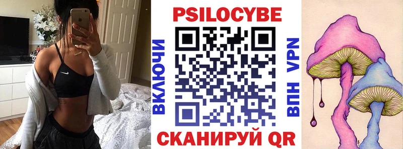 дарнет шоп Динская Галлюциногенные грибы Cubensis